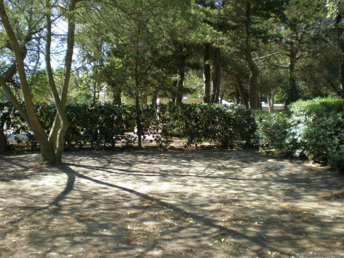 Camping Le Sainte Marie Екстериор снимка